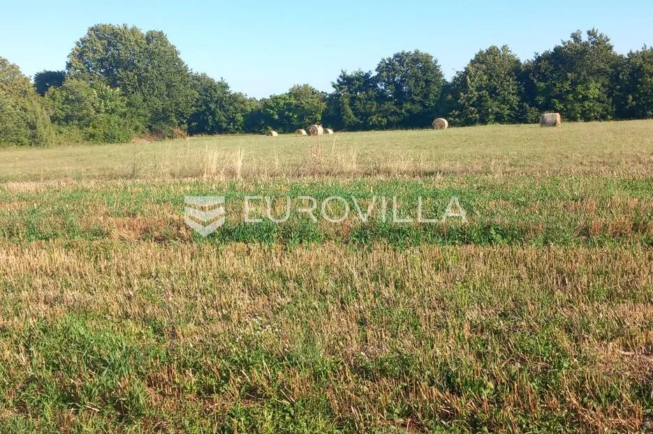 Istra, Svetvinčenat, poljoprivredno zemljište 8182 m²