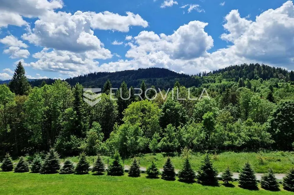 ravna gora, hleveci, šarmantna drvena vila s velikom okućnicom - slika 28