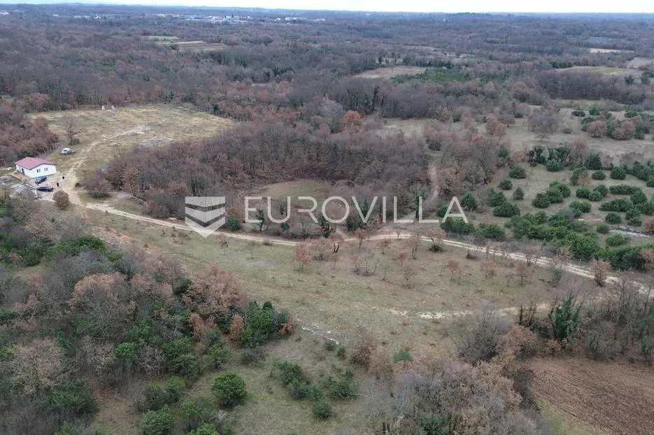 istra, svetvinčenat, prostrano mješovito zemljište s projektom i dozvolom, mirna lokacija 27277 m² - slika 3