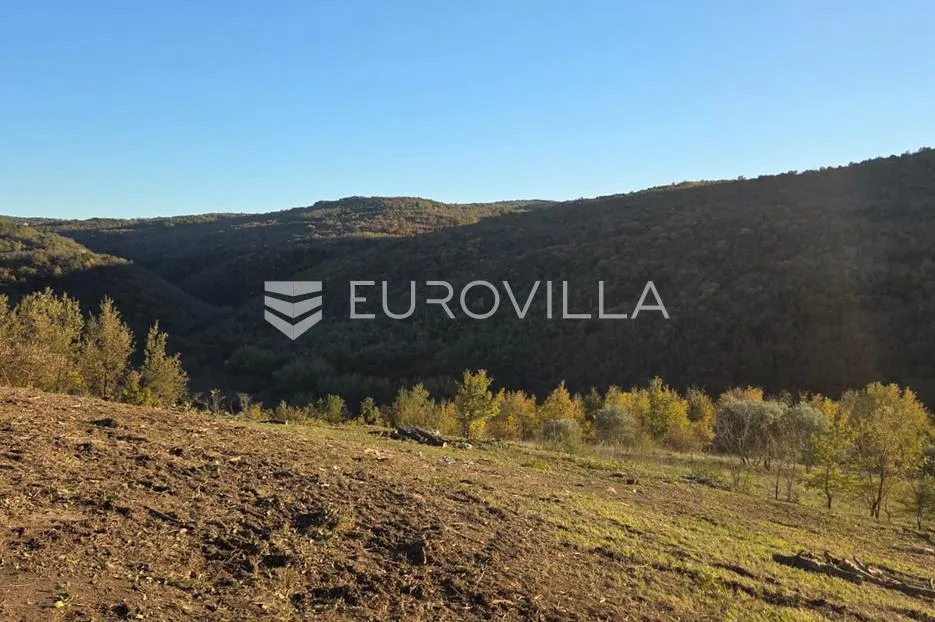 istra, motovun, građevinsko zemljište + poljoprivredno zemljište - slika 23