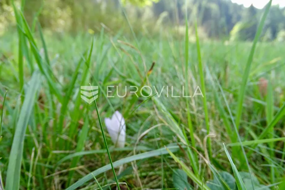 delnice, lučice, idealan građevinski teren za villu ili investiciju - slika 4