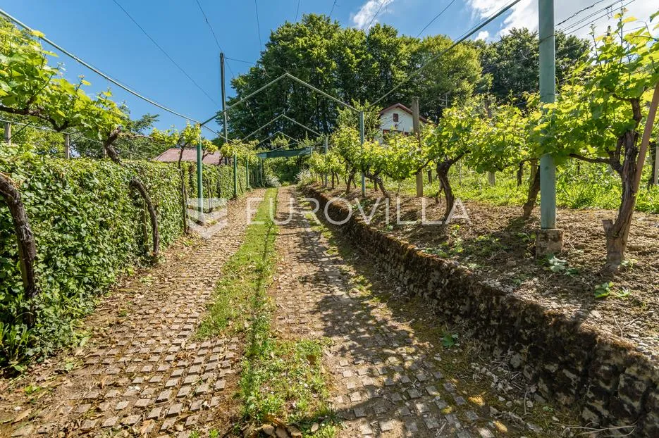 gornji kneginec, varaždin breg, vikendica s pogledom - slika 10