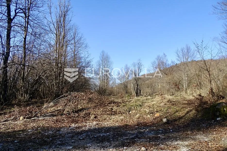 delnice, poljoprivredno zemljište površine 2694 m² - slika 5