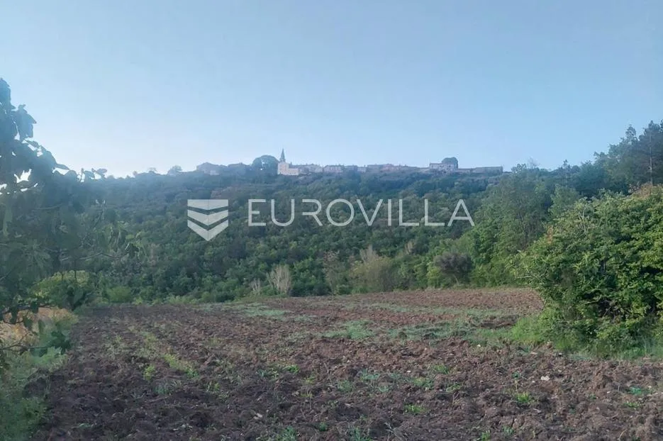 istra, draguć, poljoprivredno zemljište pogodno za vinograd 11174m2 tik ispod naselja - slika 2