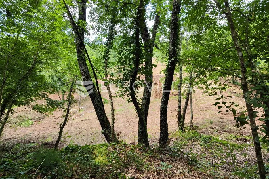 barban, rojnići, prekrasno pravokutno građevinsko zemljište 910 m² - slika 12