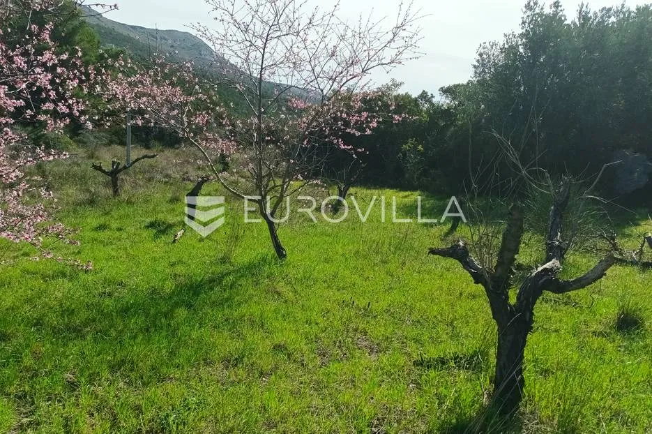 podstrana, građevinsko zemljište s otvorenim pogledom na more - slika 4
