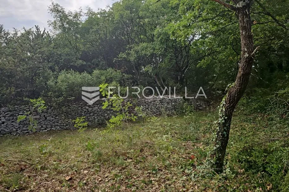 istra, svetvičenat okolica - prostrano miješovito zemljište 11595 m2 - slika 3