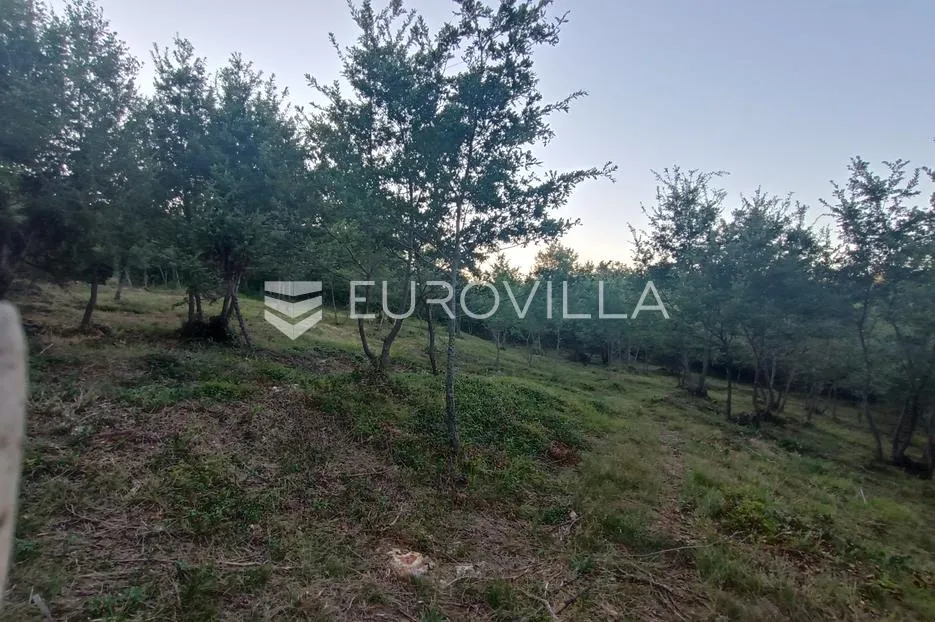 istra, kringa, novoizgrađena luksuzna vila u roh bau fazi s imanjem od 17.106 m2 - slika 8