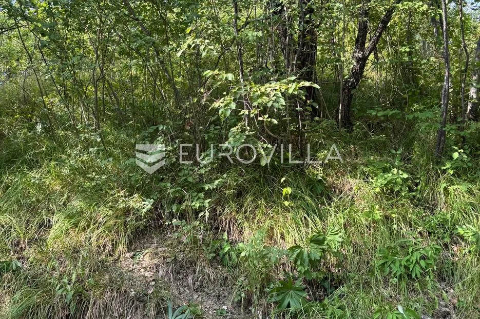 istra, okolica oprtlja, oaza mira s pogledom koji osvaja - slika 3