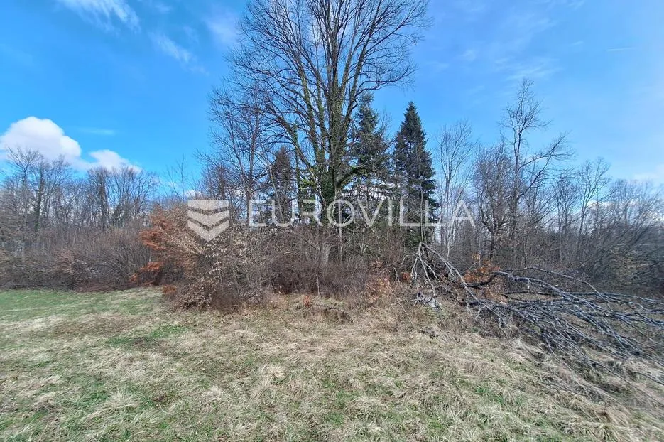 bosiljevo, zemljište 103000 m² s 2 objekta na mirnoj lokaciji - slika 9