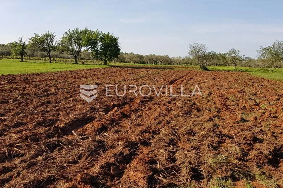 istra, rovinjsko selo, poljoprivredno zemljište 13856m2 - slika 4