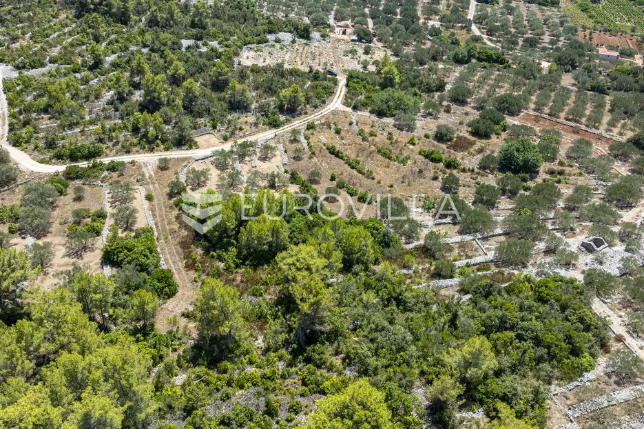 otok korčula, vela luka, poljoprivredno zemljište 980 m² - slika 7