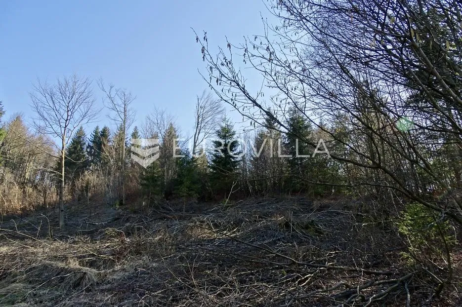 delnice, zemljište površine 7732 m² s 2200 m² građevinskog - slika 6