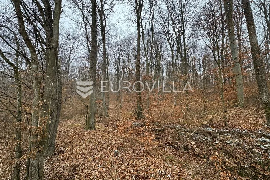 levanjska varoš, šume i zemljišta, ukupno cca 60 ha - slika 3