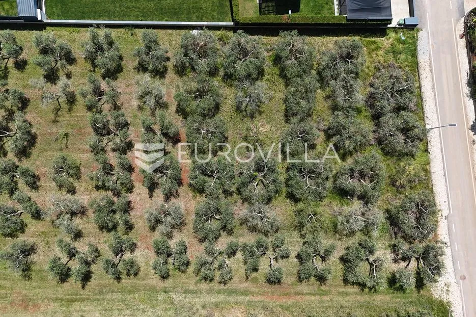 istra, kaštelir, građevinsko zemljište pravilnog oblika u okruženju luksuznih vila - slika 3