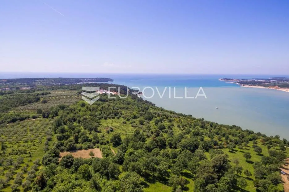 istra, tar - građevinsko zemljište 1. red do mora sa panoramskim pogledom - slika 7