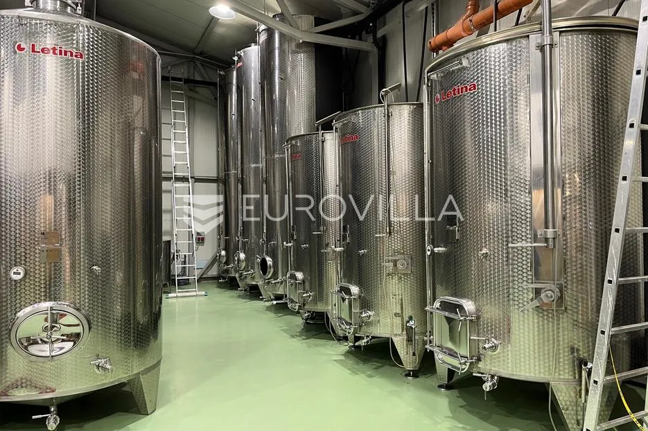 kneževi vinogradi, zmajevac, opremljena i uhodana vinarija - slika 12