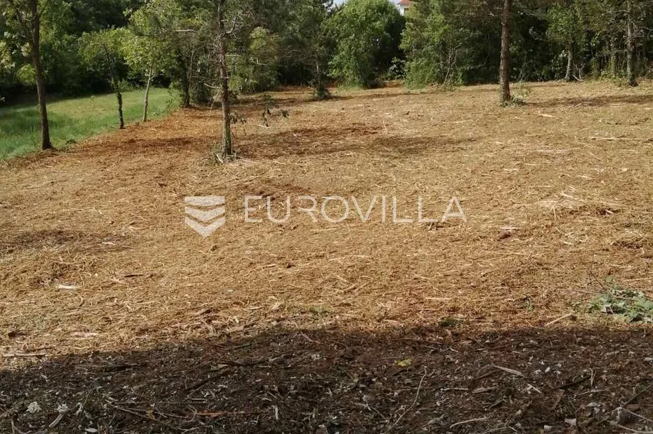 istra, okolica labina, građevinsko zemljište 3000 m2 - slika 2