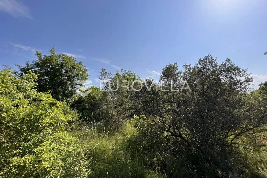 istra, šegotići, poljoprivredno zemljište, 3057m2 - slika 9