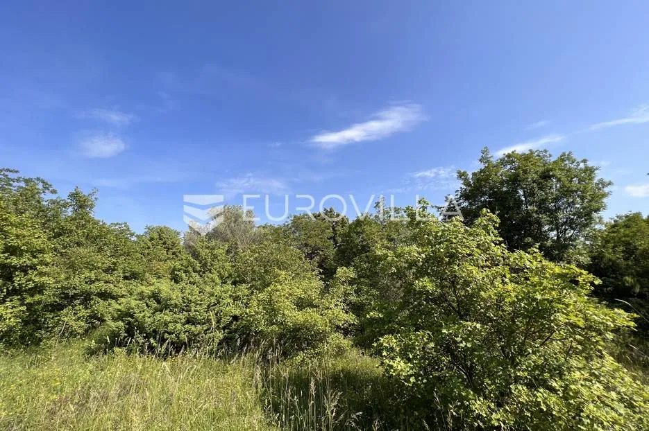 istra, šegotići, poljoprivredno zemljište, 3057m2 - slika 8