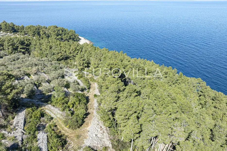 korčula, vela luka, poljoprivredno zemljište uz more - slika 9