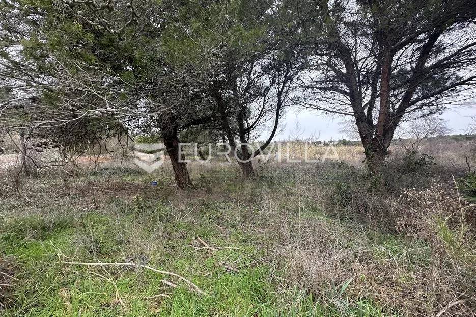 istra, premantura, građevinsko zemljište t2 zona 3020 m2 - 400 m od mora - slika 6