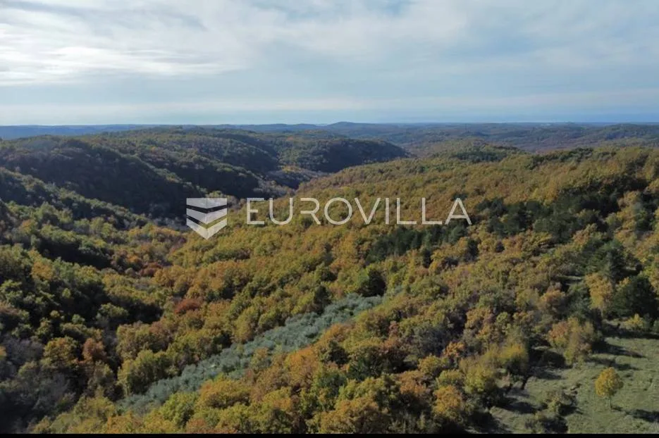 Istra, Momjan - zemljište 4137m2 od kojih je 1871m2 građevinsko - Momjan, Buje