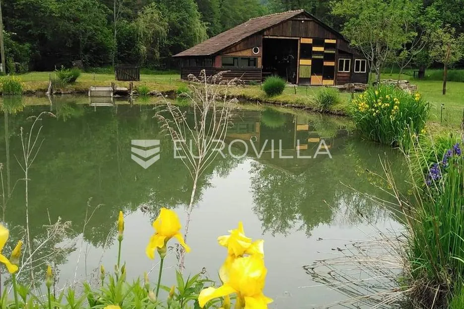 pakrac, kričke, čarobno kamp izletište da, bar 7942 m² - slika 4