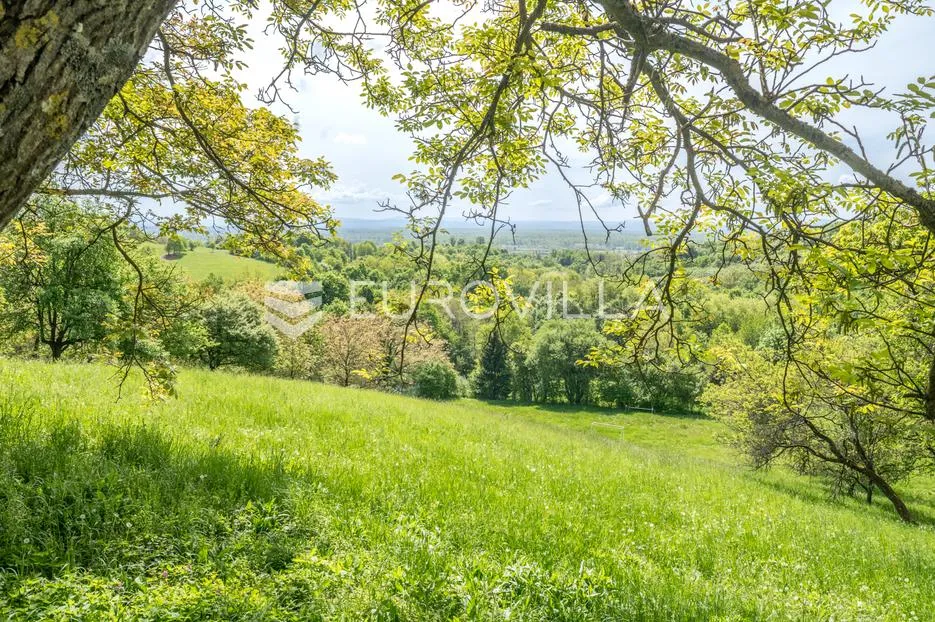 karlovac, draganić, prostrano zemljište sa starom kućom površine 27162 m² - slika 2