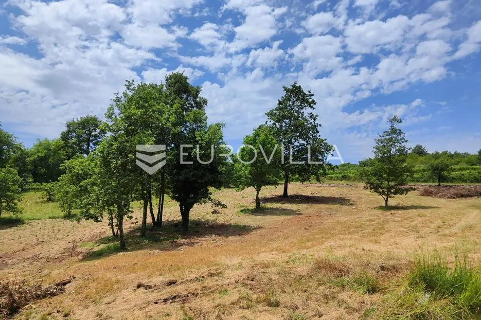 barban, rojnići, prekrasno pravokutno građevinsko zemljište 910 m² - slika 5