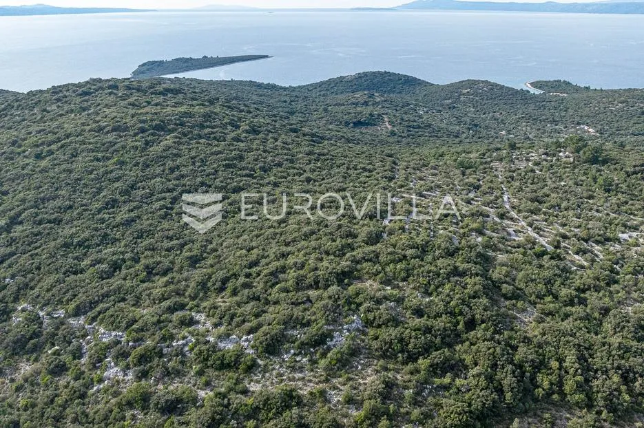 pelješac, nakovanj, poljoprivredno zemljište površine 17 000 m² - slika 6