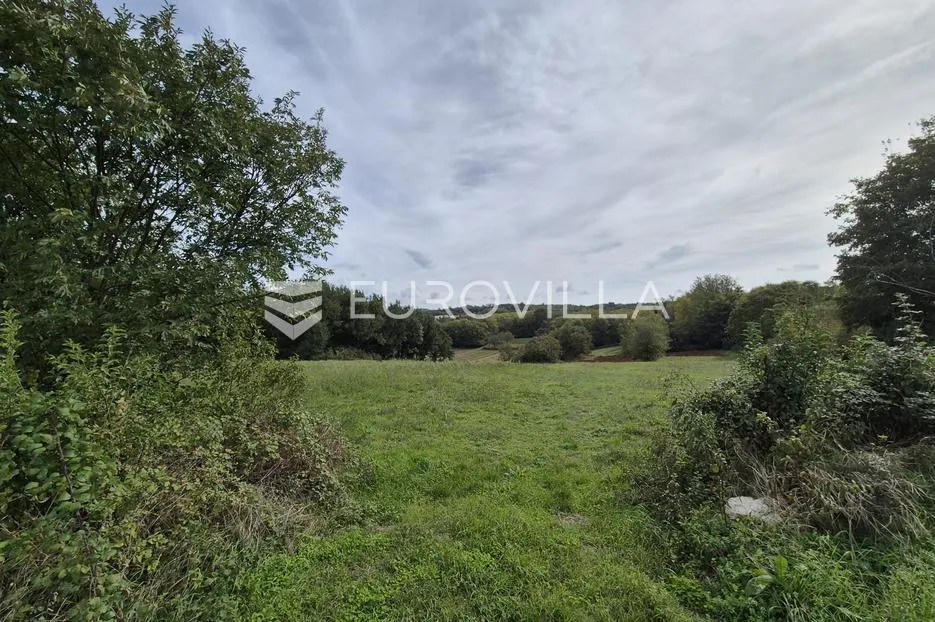 istra, rakotule, jedinstvena građevinska zemljišta 4.472 m² - slika 7