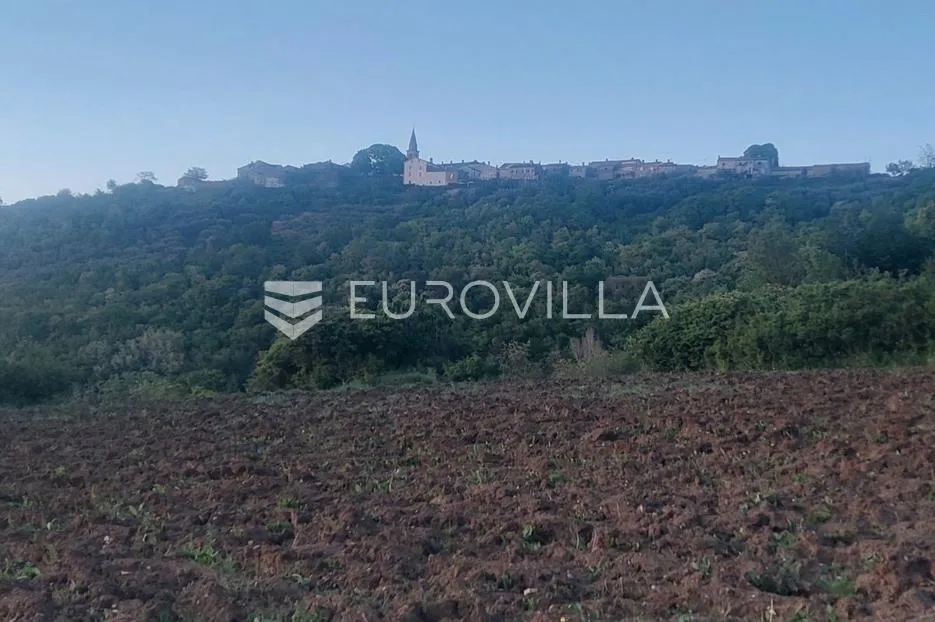 istra, draguć, poljoprivredno zemljište pogodno za vinograd 11174m2 tik ispod naselja - slika 3
