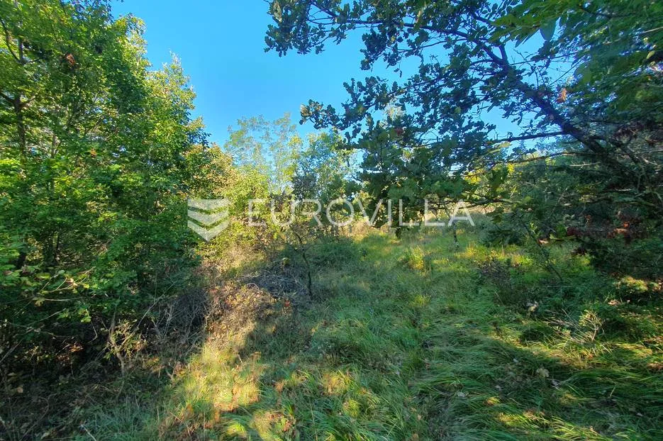 istra, baderna, poljoprivredno zemljište 12.120m2 - slika 11