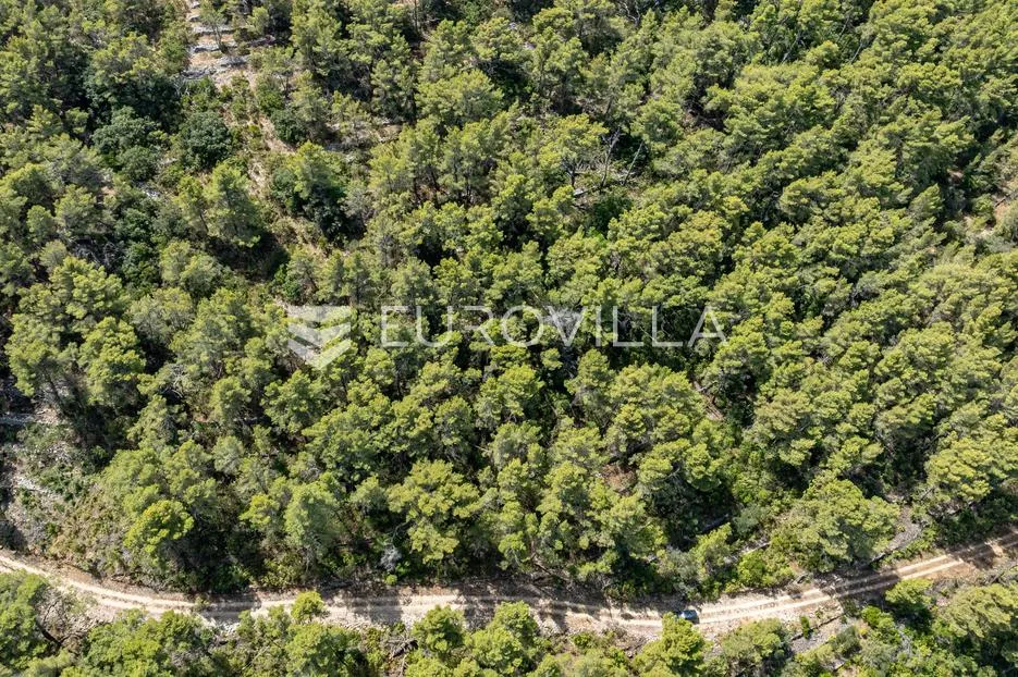 Otok Korčula, Blato, predio Brščanovica, veliko poljoprivredno zemljište