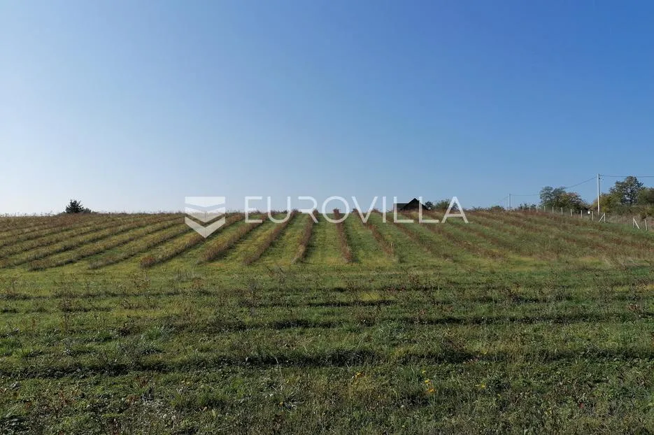 Vrhovina, posjed površine 6 ha, ODLIČNA INVESTICIJA - Vrhovina, Garčin