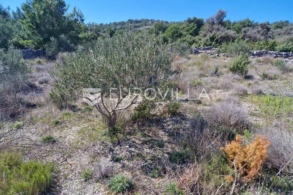 ražanj, građevinsko zemljište 746 m² - slika 2