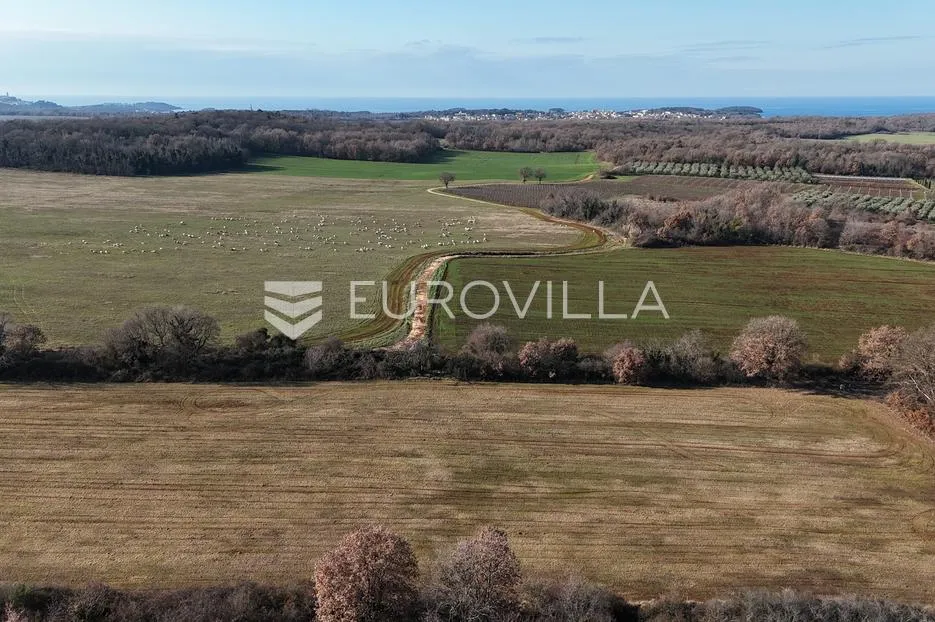 Istra, Poreč, poljoprivredno zemljište 14.824 m² - Fuškulin