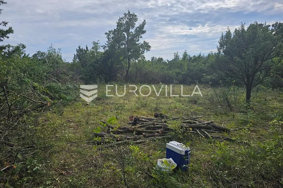 istra, svetvičenat okolica - prostrano miješovito zemljište 11595 m2 - slika 2
