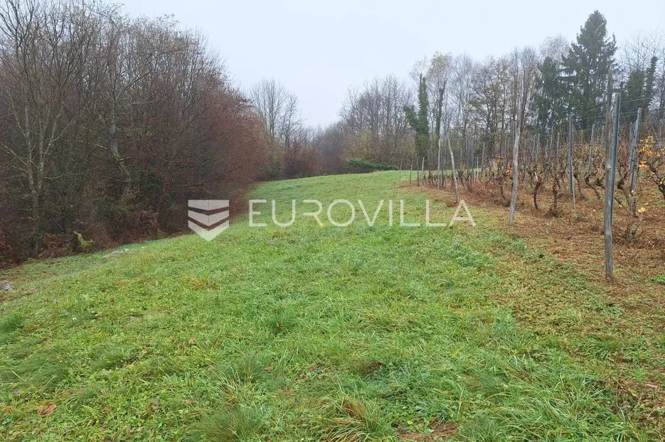 duga resa, galović selo, poljoprivredno zemljište 1400 m2 s vinogradom - slika 4