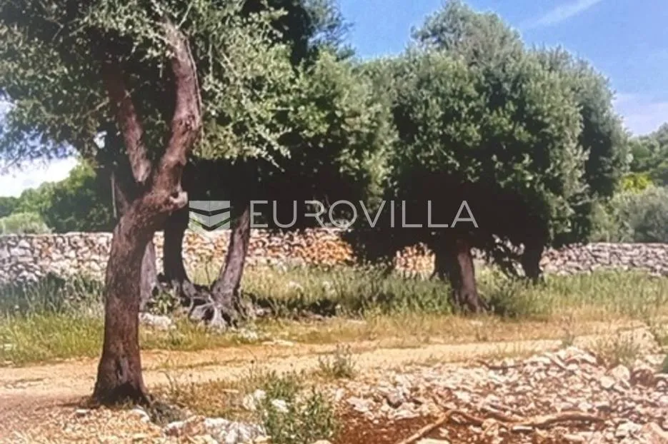 Pag, Lun, građevinsko zemljište s pogledom na more, 672 m² - Lun, Novalja