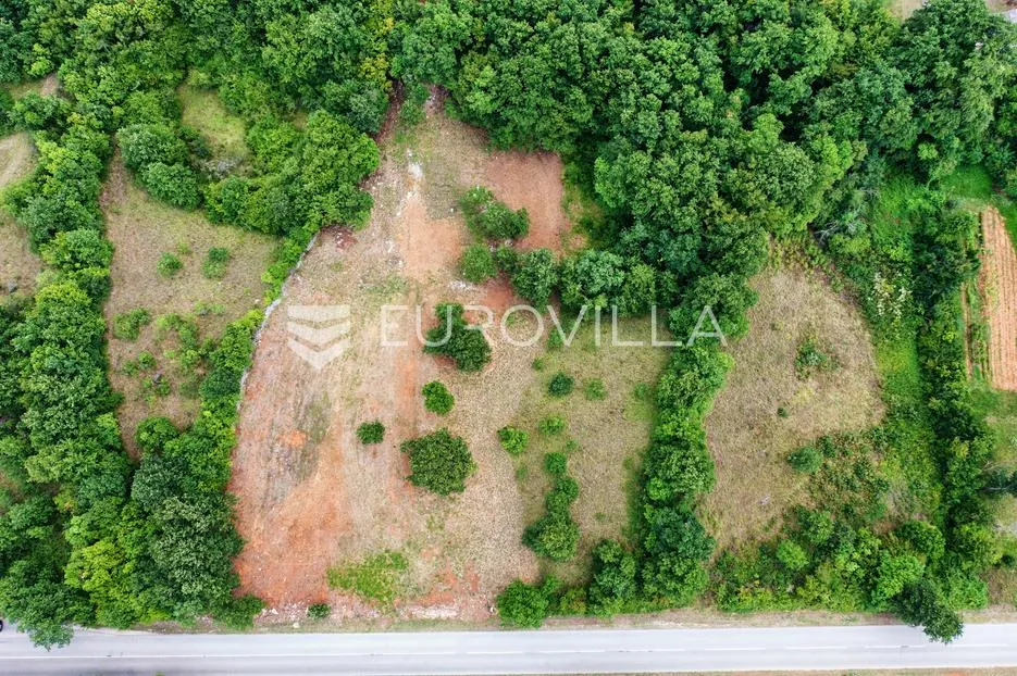 barban, rojnići, prekrasno pravokutno građevinsko zemljište 910 m² - slika 4