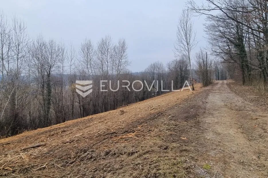 ozalj, grdun, poljoprivredno zemljište 8429 m² s 2 objekta - slika 7