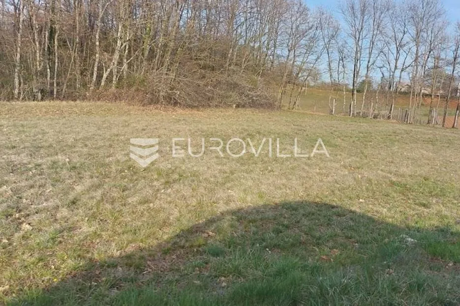 žminj, veliko poljoprivredno zemljište uz sami asfalt i vile s bazenima - slika 7