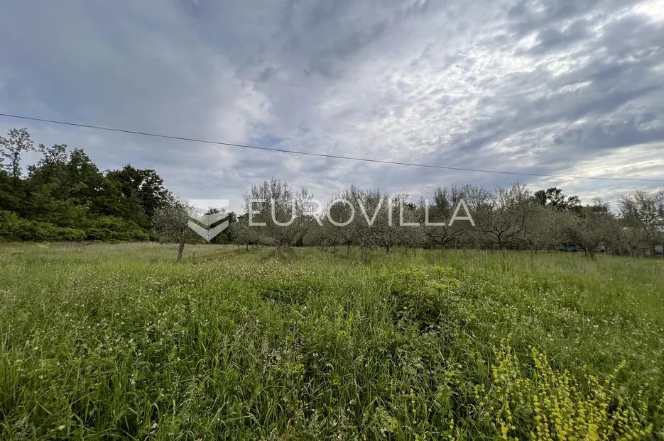 istra, juricani, građevinsko zemljište 860m2, okolica umaga - slika 5