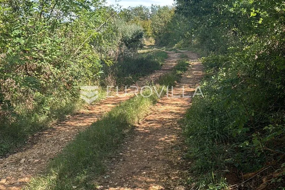 poreč, nova vas, poljoprivredno zemljište u oazi mira - slika 2