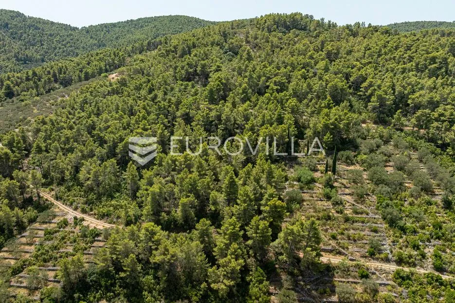 otok korčula, vela luka, poljoprivredno zemljište blizu mora - slika 4