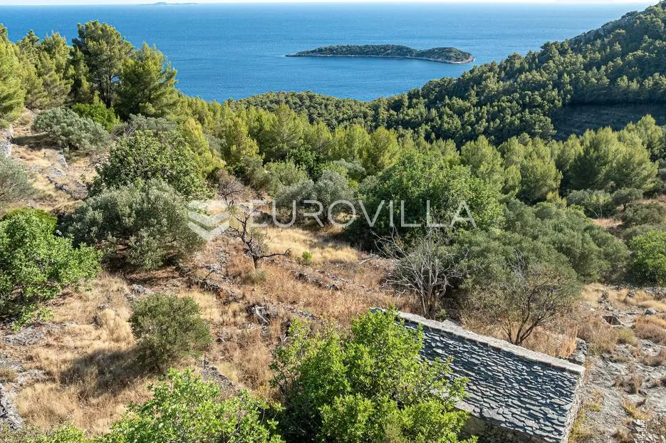 otok korčula, blato, uvala grčćica, poljoprivredno zemljište sa kamenom kućom - slika 2