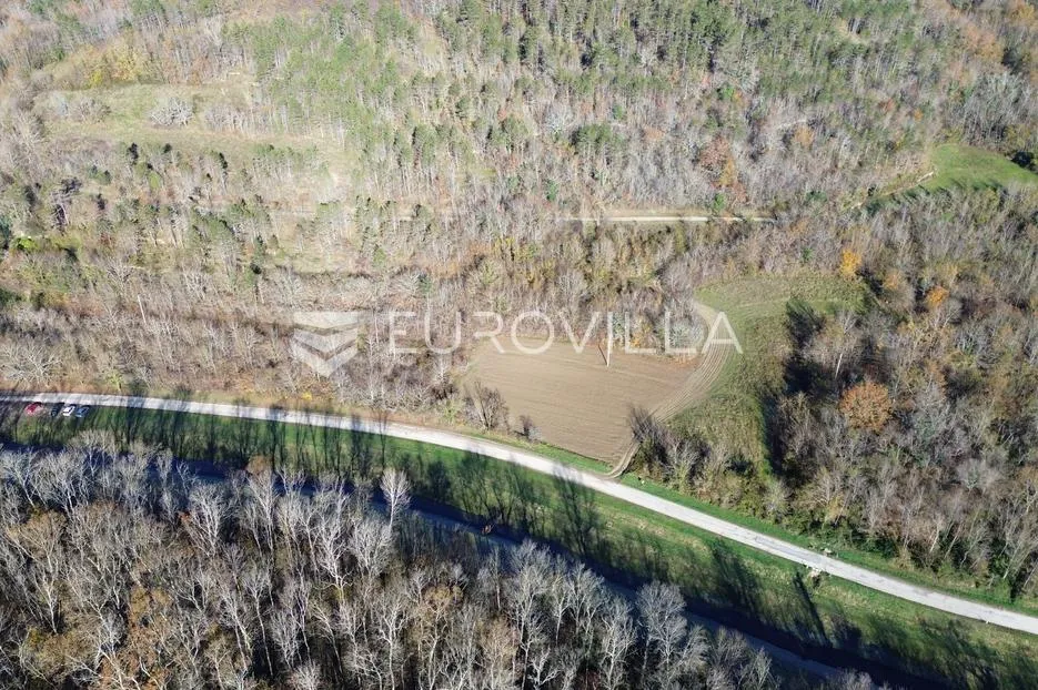 motovun, livade, prilika prostrano građevinsko zemljište - slika 13