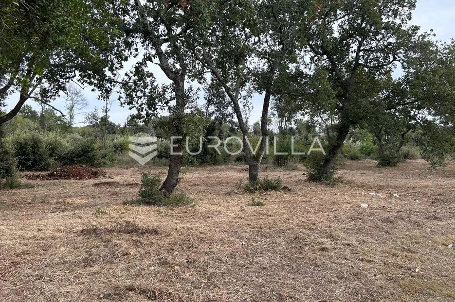 istra, barbariga - građevinsko zemljište s pogledom na more - slika 6